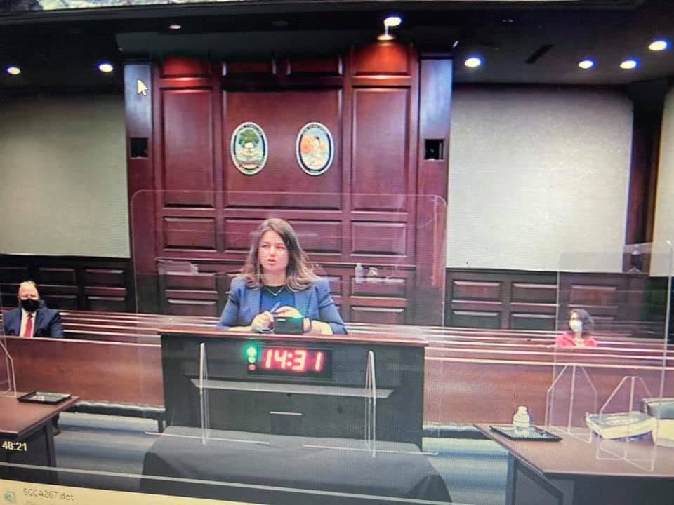 Attorney Melinda Butler arguing before the South Carolina Court of Appeals